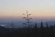 Paul SEQUENCE Ferguson sequence dot net - DUSK Paul SEQUENCE Ferguson sequence dot net - DUSK