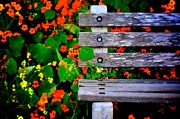  - garden-bench-arturo-pena