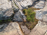 Canadian Shield Digital Art - Glacier Gouges  by Lyle Crump