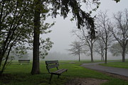 gloomy park