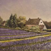  - lavender-field-and-cottage-michael-carlucci