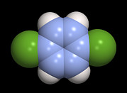 paradichlorobenzene structure