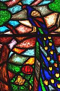 Peacock stained glass window