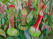  - pitcher-plants-carol-marcus