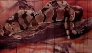 Metaphor - Python by Robert D McBain Metaphor - Python by Robert D McBain