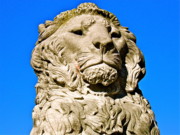 lion regal