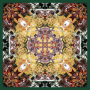 Sacred Geometry Art for Sale Sacred Geometry Art for Sale