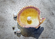 Pearl Paintings - Sea Shell and Pearls by Irina Sztukowski