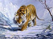  - siberian-tiger-silvia-duran