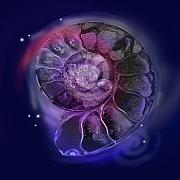 http://images.fineartamerica.com/images-small/space-fossil-shelley-myers.jpg