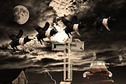 Featured - When Pigs Fly by Wingsdomain Art and Photography Featured - When Pigs Fly by Wingsdomain Art and Photography