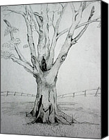 Shaded Tree Drawing