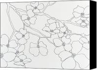 Dogwood+blossom+drawing