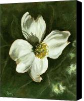 Dogwood+flower+painting