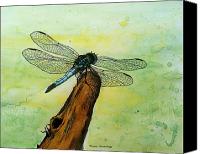 Dragonfly+images+drawings