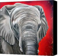 elephant canvas