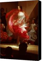 Spanish+flamenco+dancer+cartoon