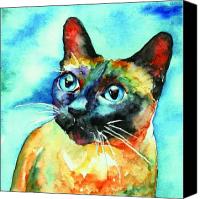 Cat Canvas