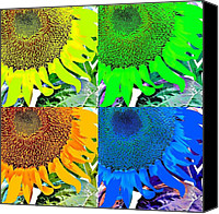 Andy Warhol Sunflower