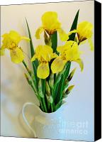 yellow iris bouquet
