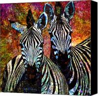 zebra canvas