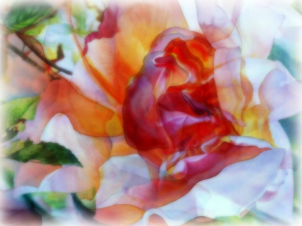 A Floral Illusion Print by Wbk