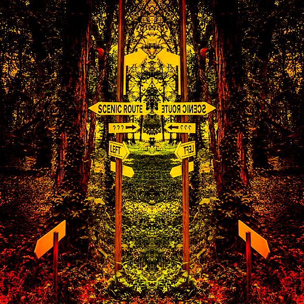 down the rabbit hole pdf