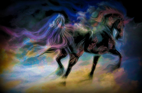 I Dream Of Unicorns Print by Wbk