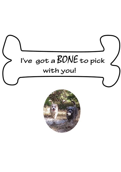 tinykeep i have a bone to pick with you song