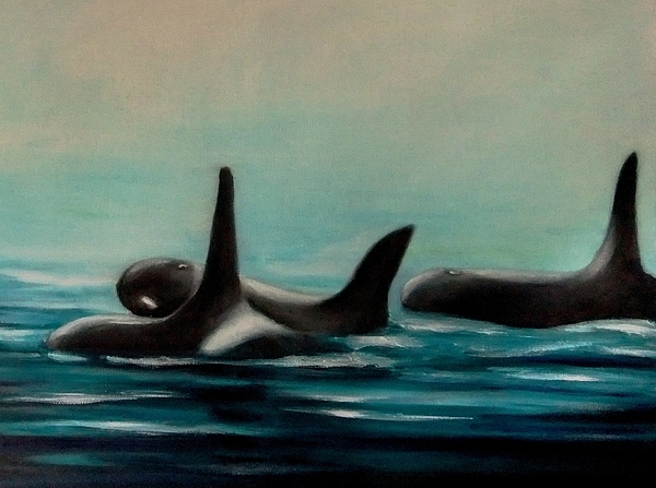 der orca der orca