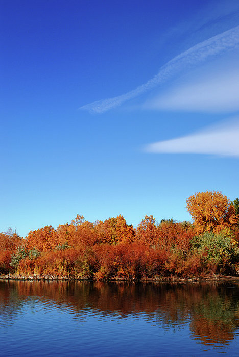 Autumns Lake Greeting Card By Moosebitedesign