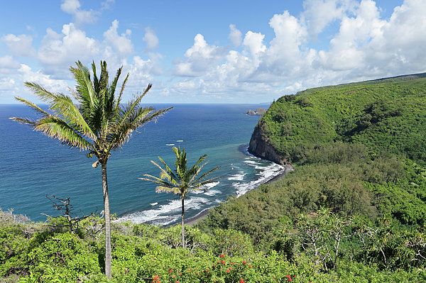 Pololu Valley Greeting Card By S Greg Panosian