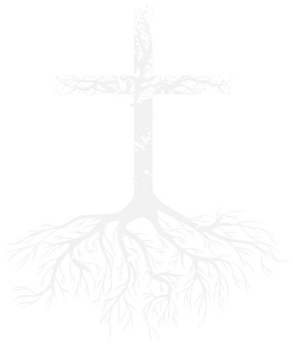 Christian Root Your Faith In Jesus Christ Root Tree Cross Greeting Card