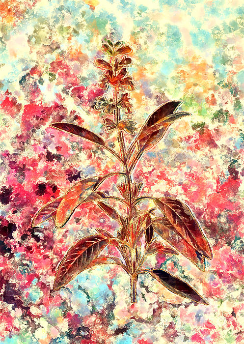 Impressionist Sage Plant Botanical Painting In Blush Pink And Gold N