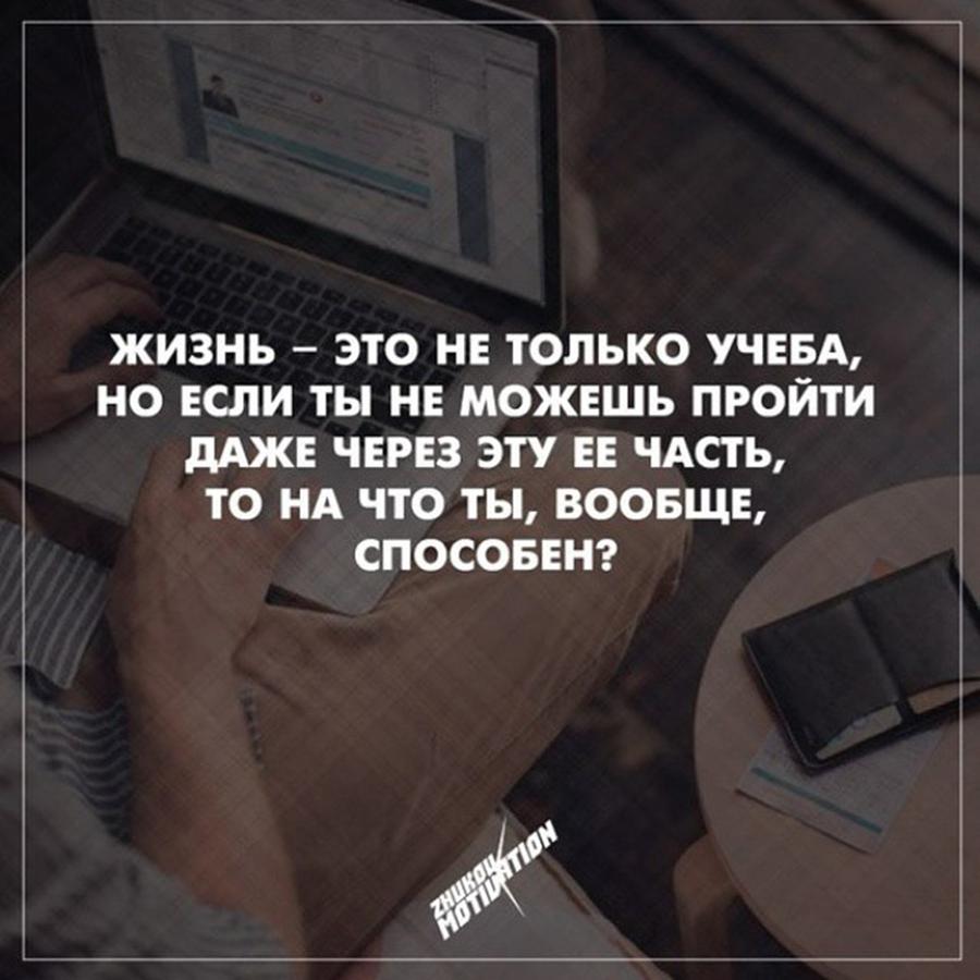 Цитаты мотивация для студентов Цитаты мотивация для студентов