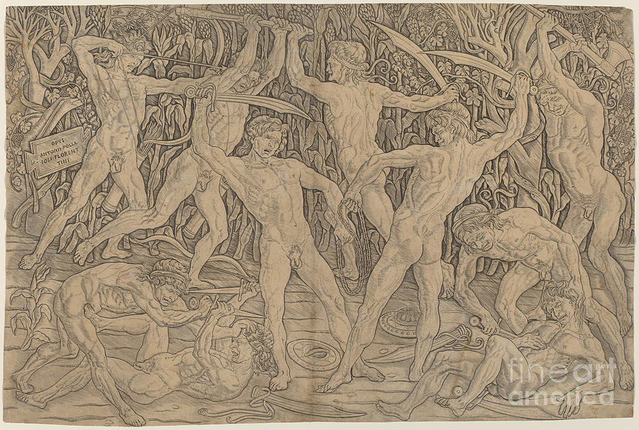 Battle Of The Nudes Drawing By Antonio Del Pollaiuolo Fine Art America