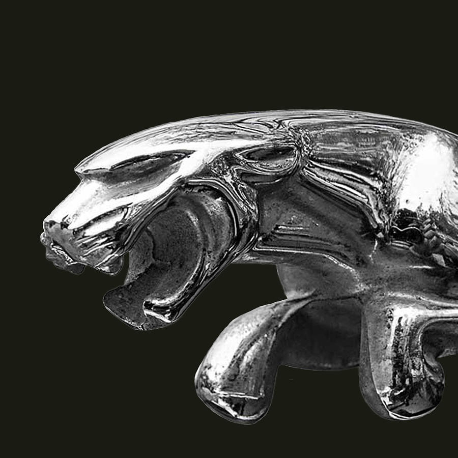 jaguar leaper clip art - photo #36
