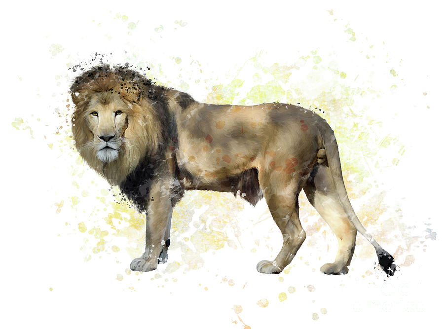 Lion Watercolor Digital Art By Svetlana Foote Fine Art America