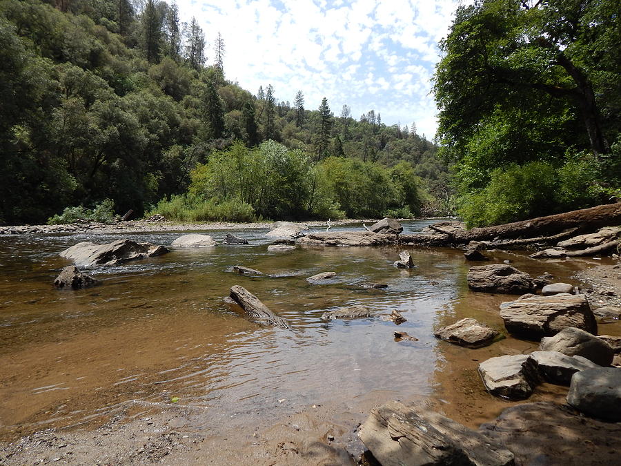 Mokelumne River Photograph By Susan Ince Fine Art America