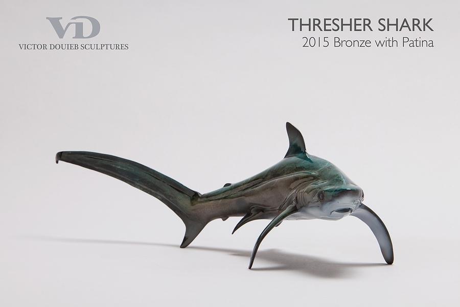 Thresher Shark Sculpture by Victor Douieb