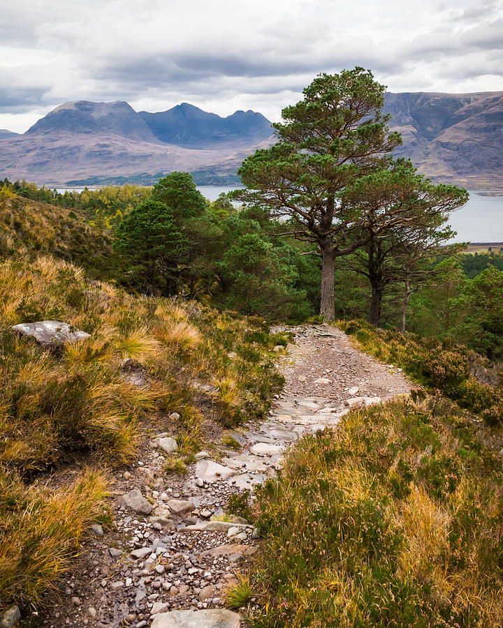 Wester Ross Mountains And Loch Torridon, Scotland Photograph by Andrea