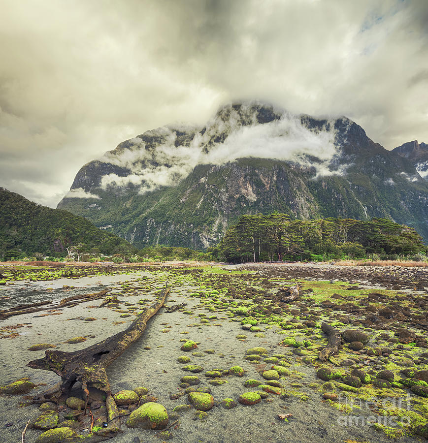 Milford Sound Photograph By MotHaiBaPhoto Prints Fine Art America