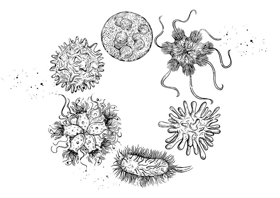 Бактерии рисунок карандашом