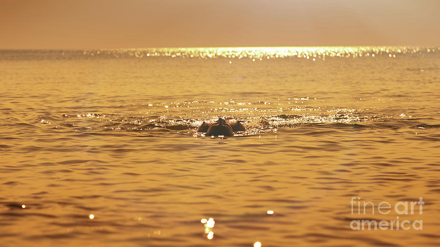 Nude Woman Swim Photograph By Aleksey Tugolukov