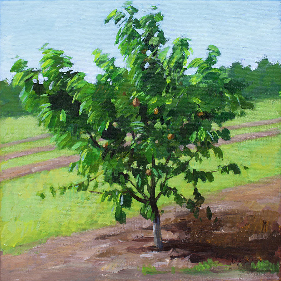 A Peach Tree In A Bright Summer Day Painting by Mei He