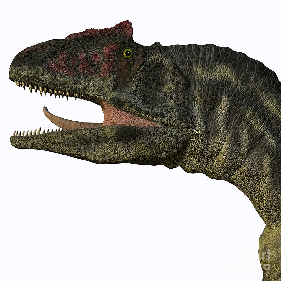 allosaurus head