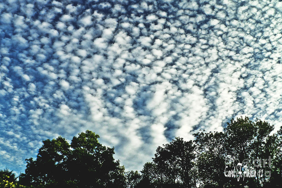 altocumulus-mackeral-cloud-formation-photograph-by-carol-f-austin