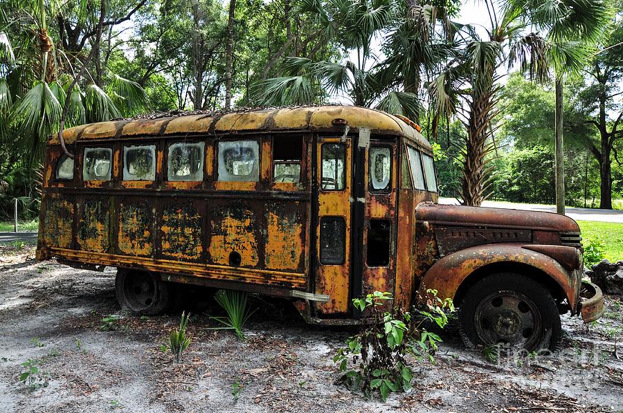 Antique School Bus Photograph By Debbie Green 