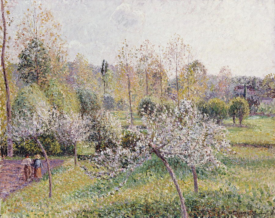 Apple Trees In Blossom Eragny Painting By Camille Pissarro Fine Art