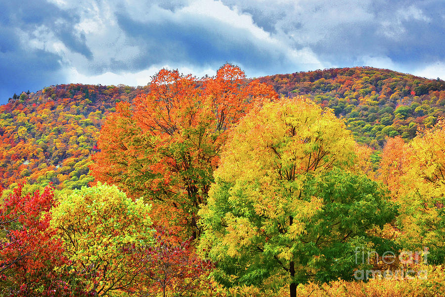 Bear Mountain Fall Foliage by Regina Geoghan Royalty Free and Rights